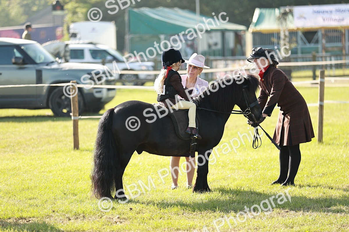 SBM_11104 - Class 106-107 - BSPS LIHS Working Sports Pony