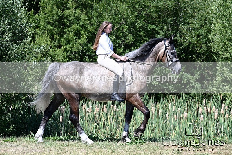 WJ7_4140 - Annable & Atlas 13-07-25