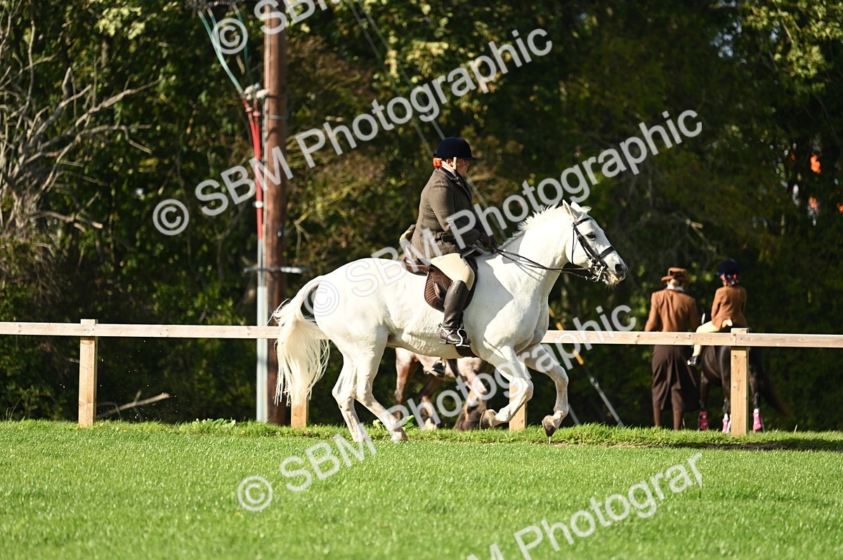 SBM_26450 - S6 - Novice & newcomer Ridden horse