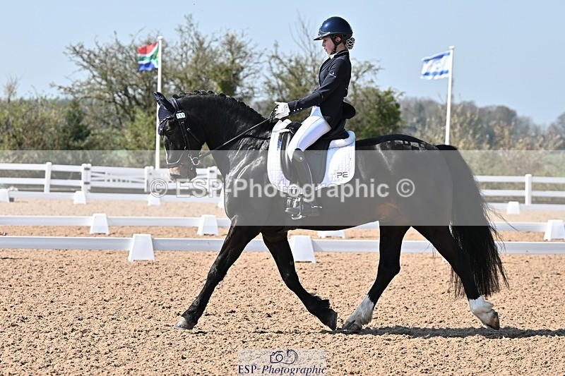 250404-133013-06388 - 111-Ever.Sinfield.Day-Machno.Excalibur