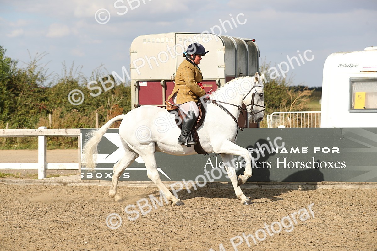 SBM_06946 - Class 49a Style & Performance 80cm (15-19)