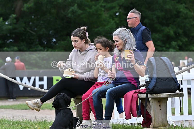 250524A-124403-11035 - Western Counties Crowds