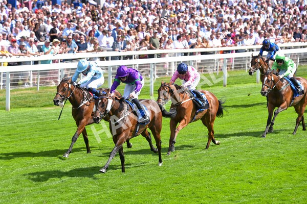 yr09072022r4-35 - Race 4 3.30pm John Smith's Nursery Stakes