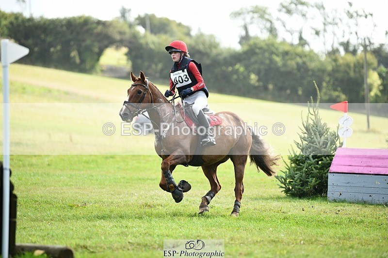 250831-101141-05869 - I-403-Phoebe.Cole