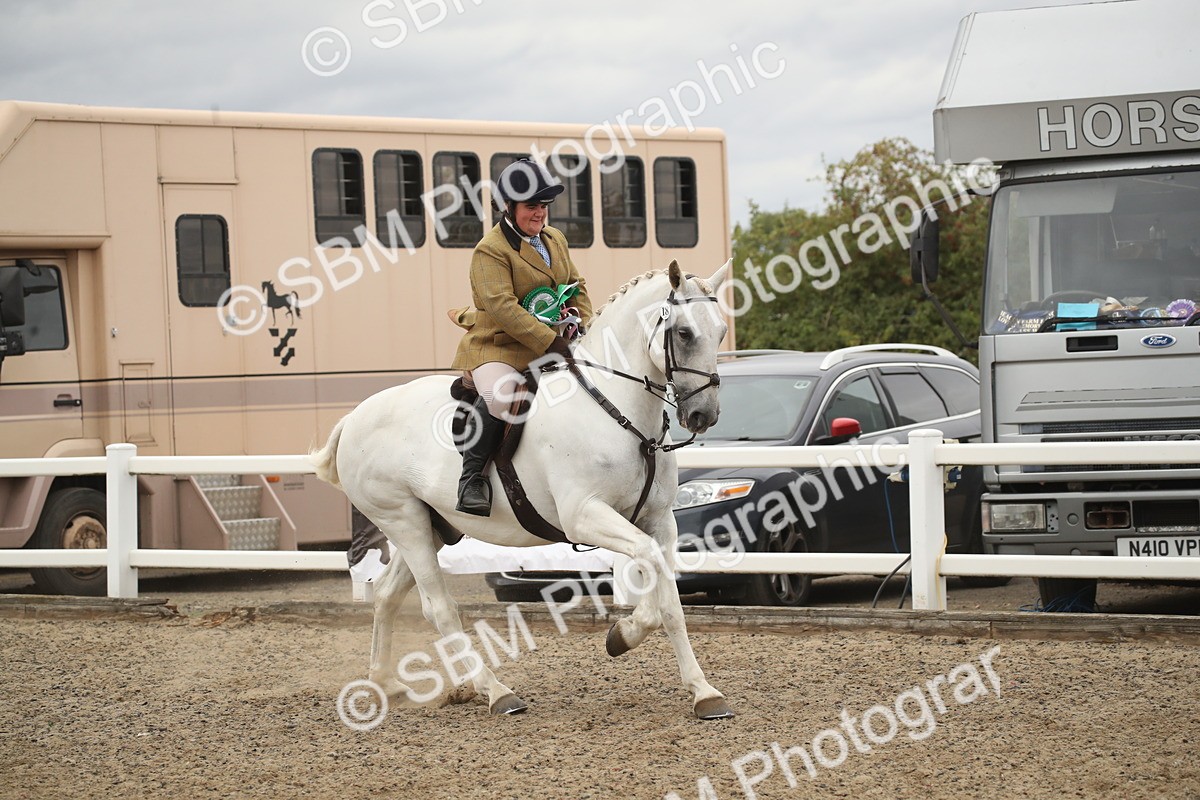SBM_18349 - Class 509a - Working Veteran - 80cm (15-19)