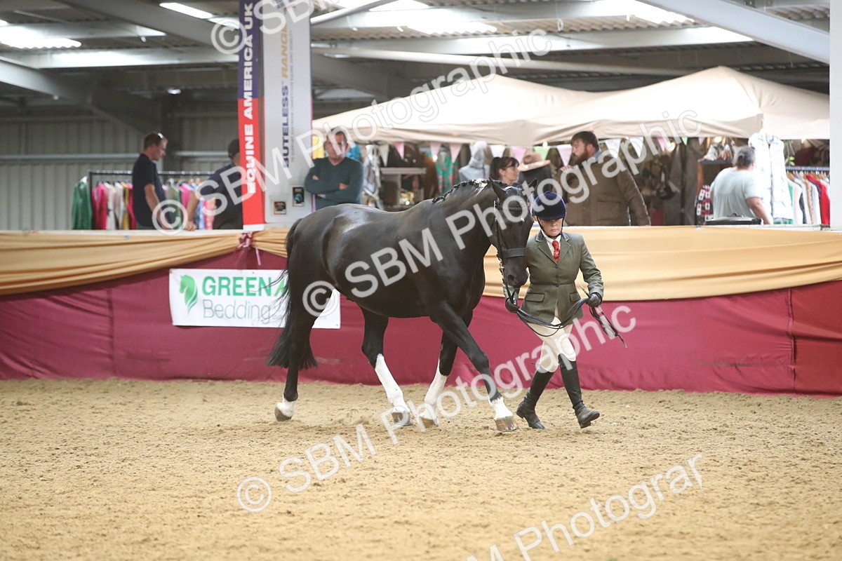 SBM_05685 - Class 9R - Regional IH Pre-Vet