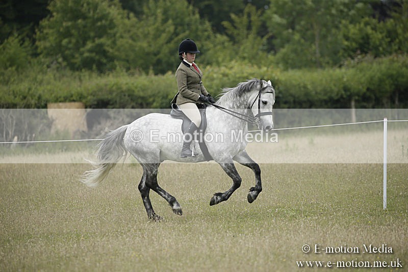 B230619-0527 - Bourne Valley Riding Club Summer Show 23/06/19