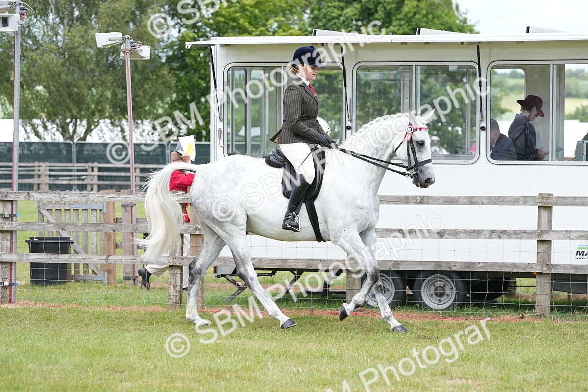 SBM_16162 - Class 105-106 - RIHS Riding Horses