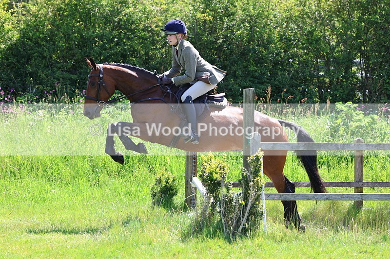 3E7A6982 - Class 30: Novice Working Hunter
