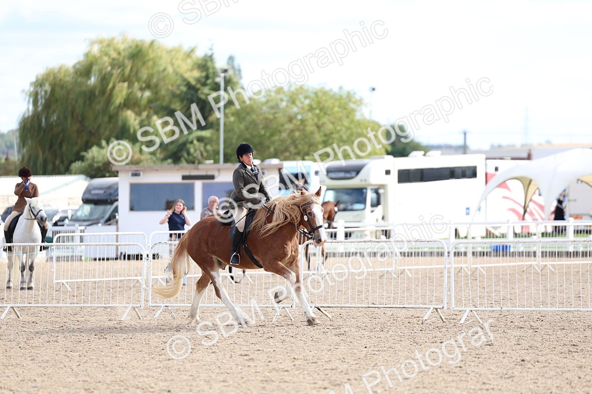 SBM_17262 - Class 315 - Best Horse - Rider Combination