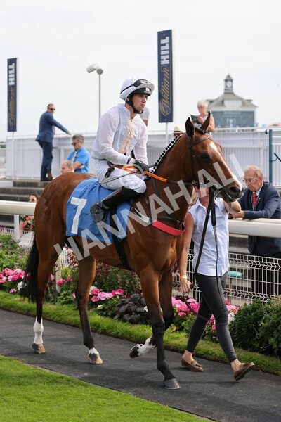yr08072022r6-5 - Race 6 5.00pm Irish Thoroughbred Marketing Stakes