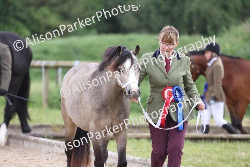 20250524-1070 - Championship