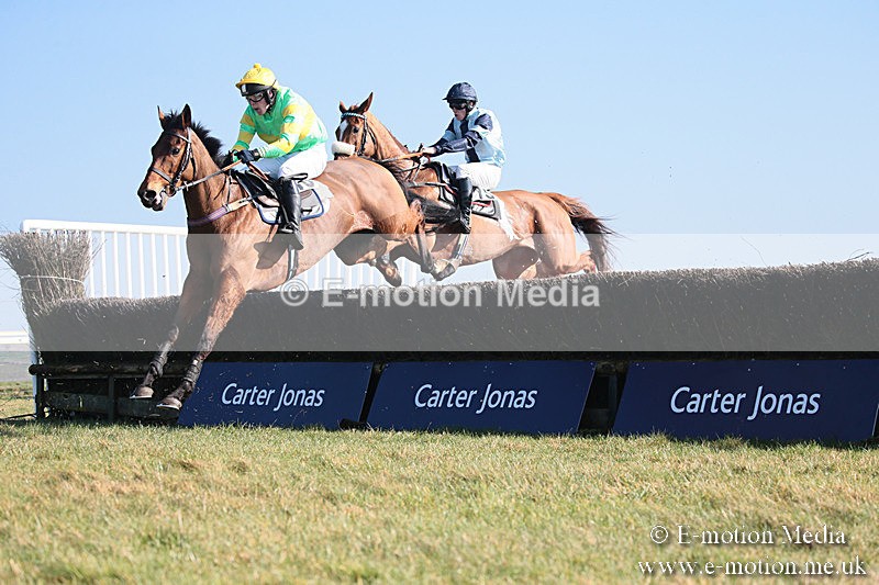 PtP 230219 299 - Vine & Craven Point-To-Point - Barbury 23/02/19