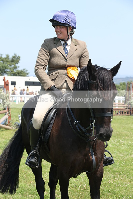 JPP_2947 - Class 21: Working Hunter 60cm