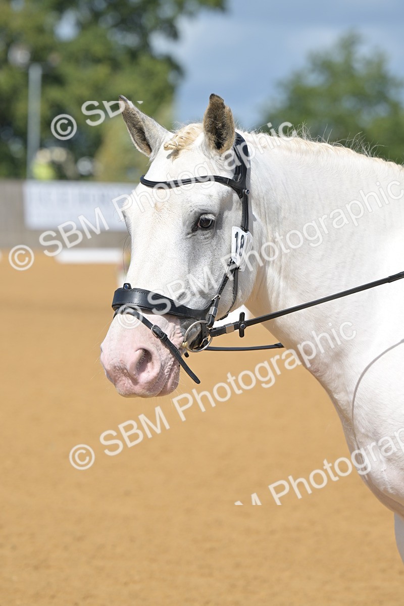 SBM_08021 - D8 - Small Tour Championship Prelim 1