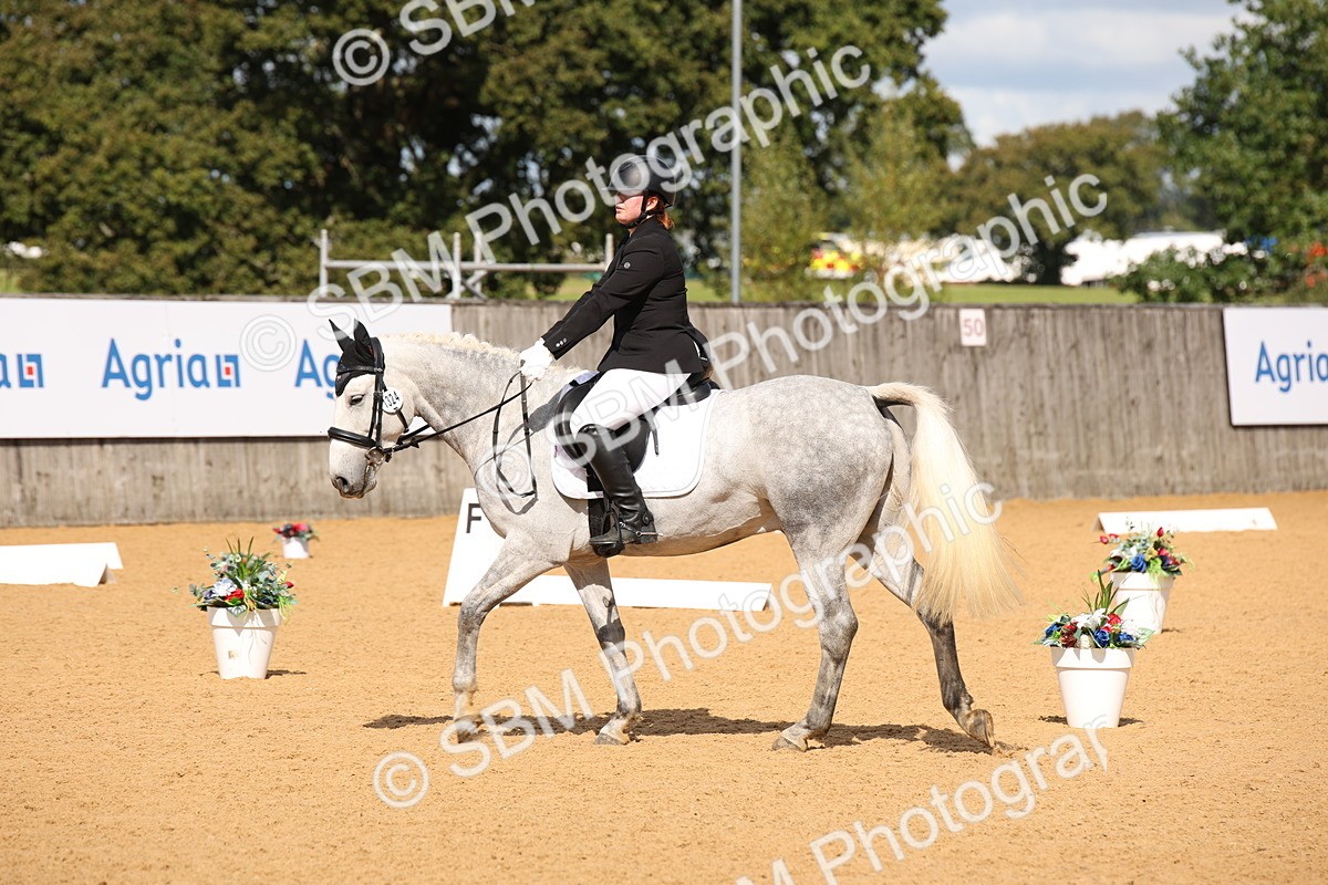 SBM_04346 - D2 Small Tour Championship Intro C