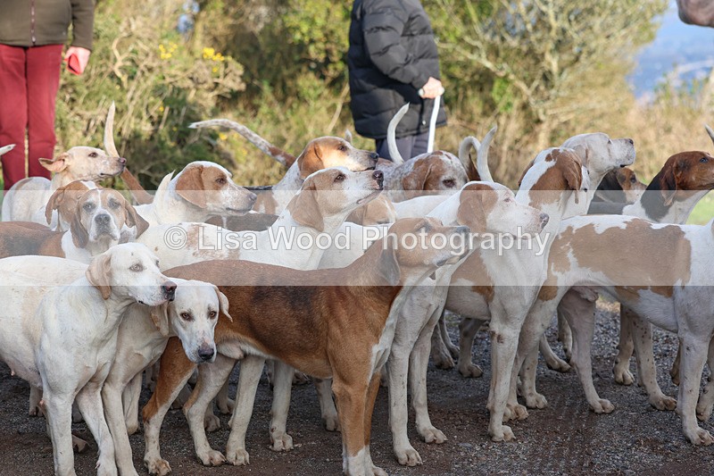 3E7A5300 - FBH Carn Brea 26.12.2025