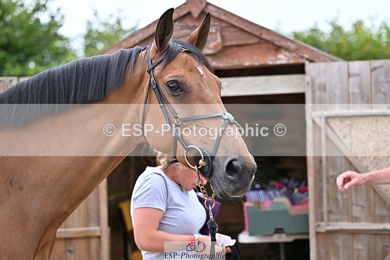 250716-135556-00705 - Trot Up 1.30 to 2.30