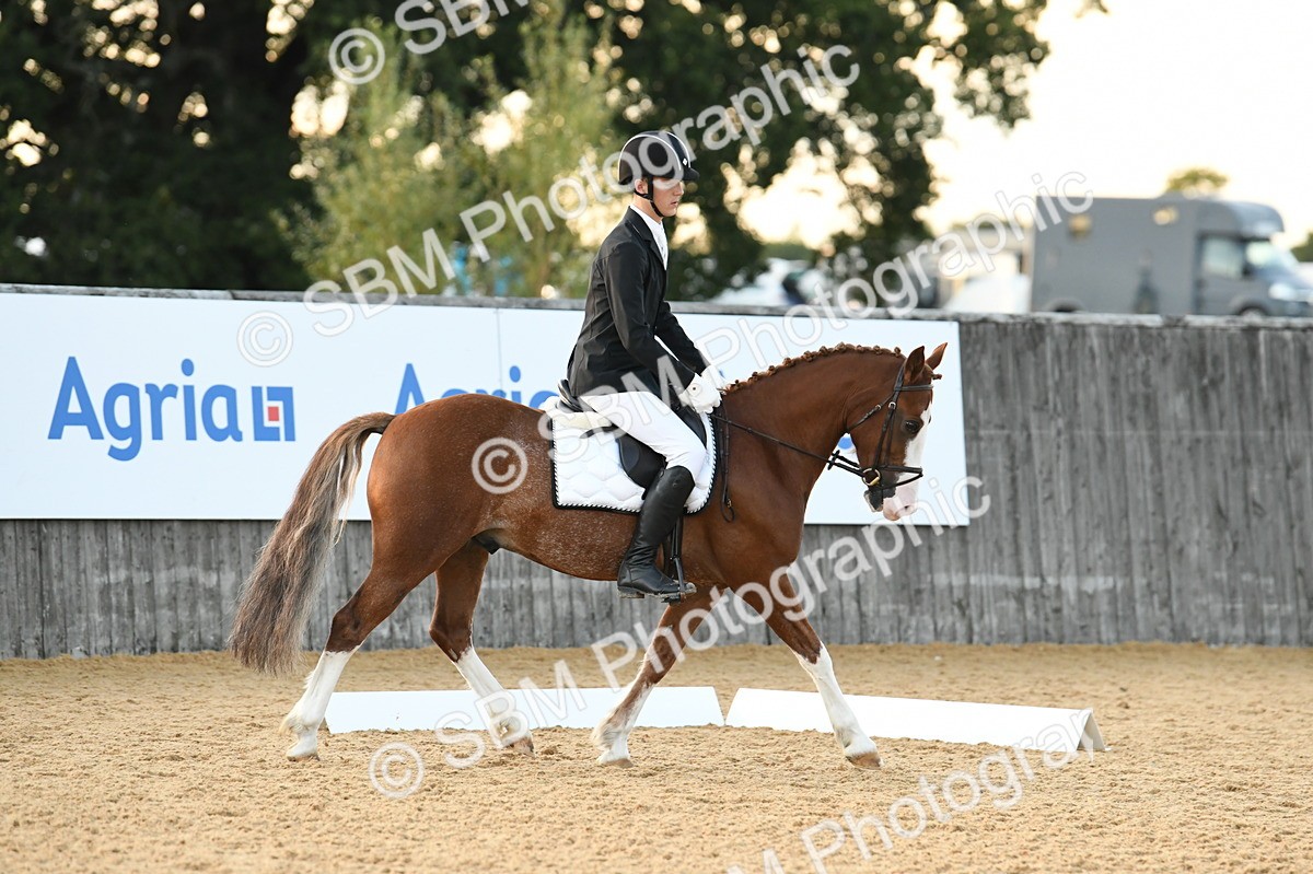 SBM_30968 - D16 - Small Tour Championship - Novice 28