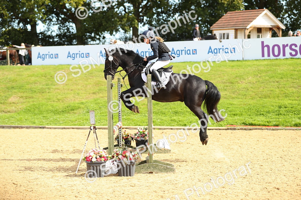 SBM_67278 - J17 - Junior Pony 80cm Championship