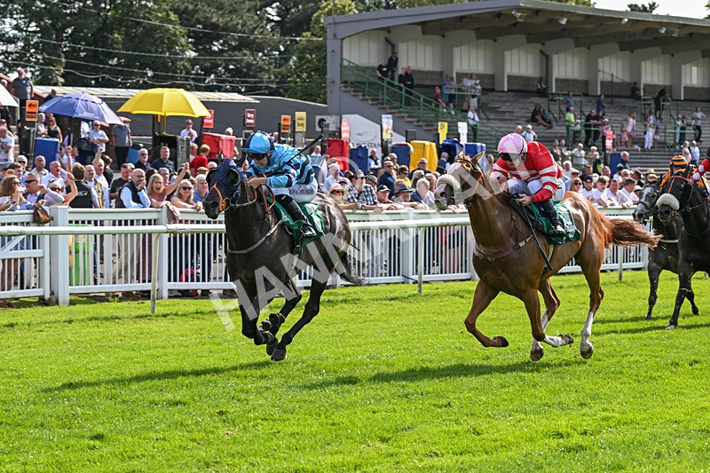 170724-Race 7-Yazaman-0562 - Race 7