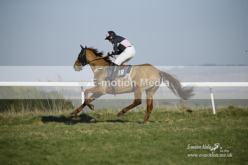 PtP 270222 262 - South & West Wilts Point-to-Point Larkhill 27/02/22
