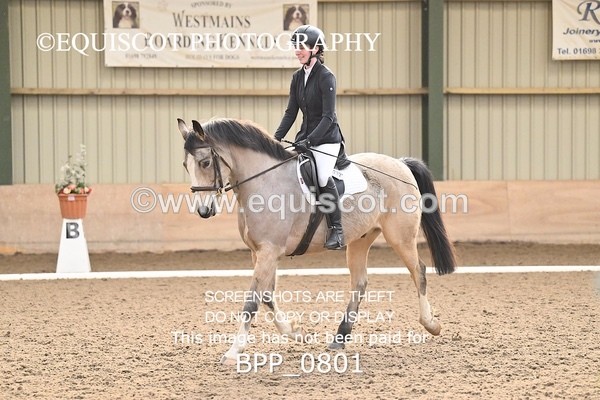 BPP_0801 - 7 - L MITCHELL