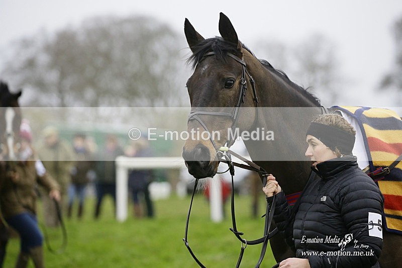 PtP 200222 13 - Countryside Alliance PtP Badbury Rings 20/02/22