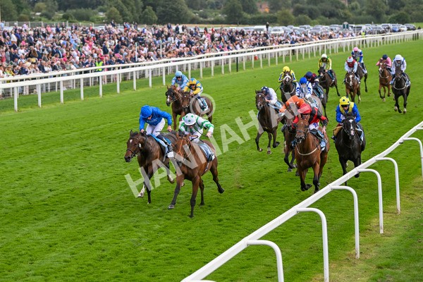 220824-Race 6-Angel Hunter-7831 - Race 6 4.45pm sensory-junction.co.uk Autism Awareness EBF Stallions Nursery Handicap