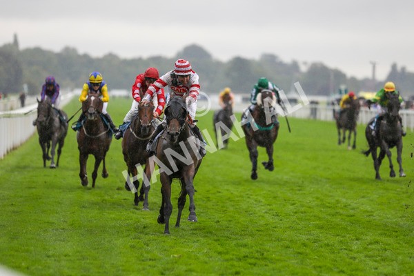 080924-Race 7-Young Fire-4608 - Race 7 5.10pm Elevator Company Amateur Jockeys' Handicap