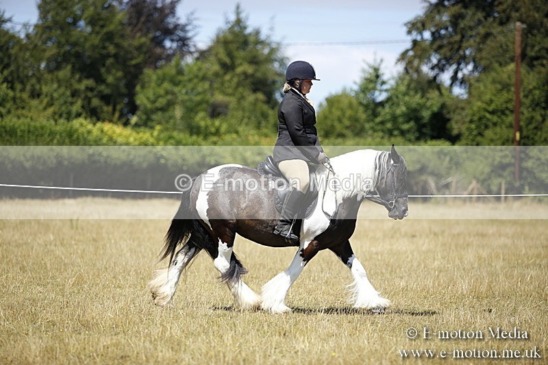 _C7A9839 - BVRC Show 2018 Ring 1