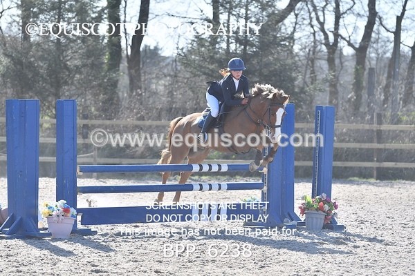 BPP_6238 - CLASS 8 SAT Pony BritiNovice / 0.80m Open