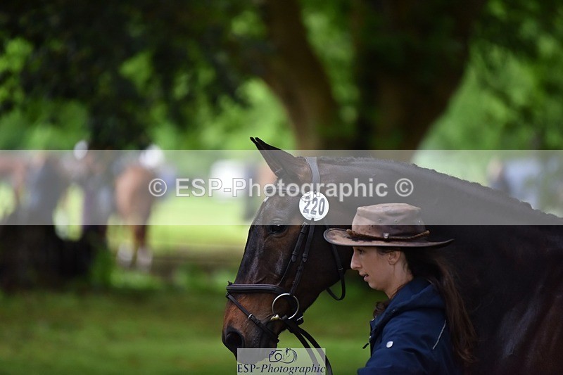 240522-164650-01150 - 220-BALLINAMURRA_FLARE_STAR-Mary_Mason