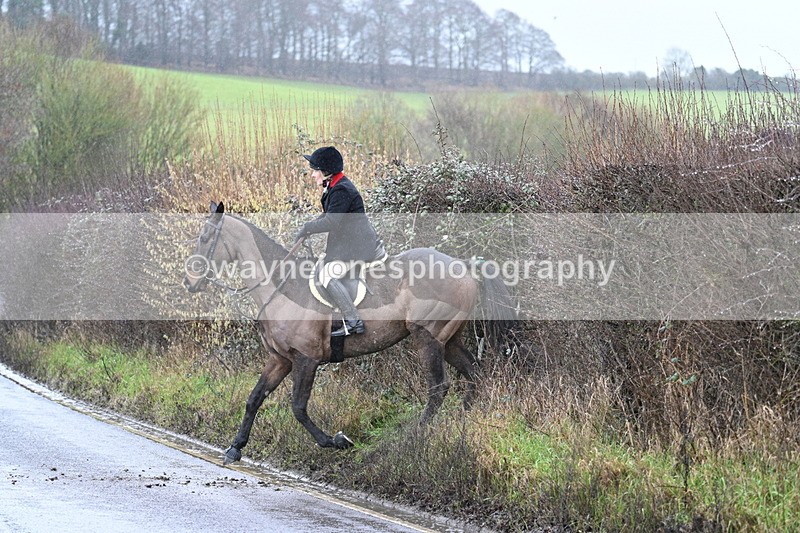 WJ7_7051 - Crossing A Camera