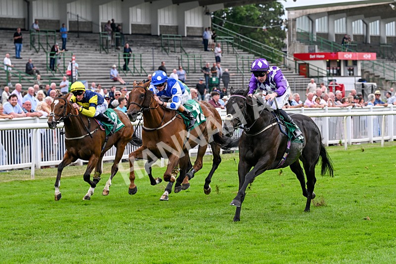 010726-Race 7-Indian Run-8880 - Race 7 16.10pm Weatherbys Global Stallions App Handicap