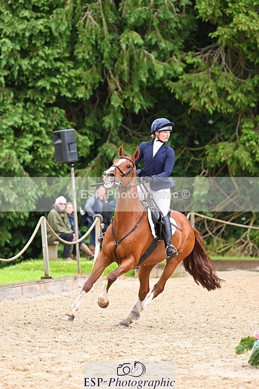 240526-140621-24418 - 251-MILESTONE_GOLD-Gaby_Bull