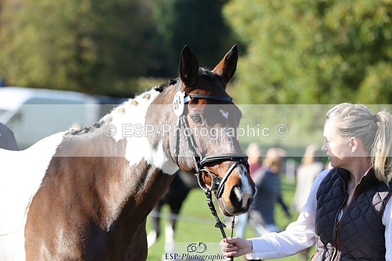 241027-093741-15400 - 404-Tamzin.Ferguson-SANTORINI
