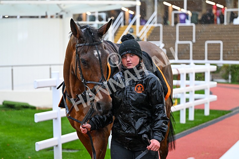 141125-Race 5-Great Fleet-0632 - Race 5