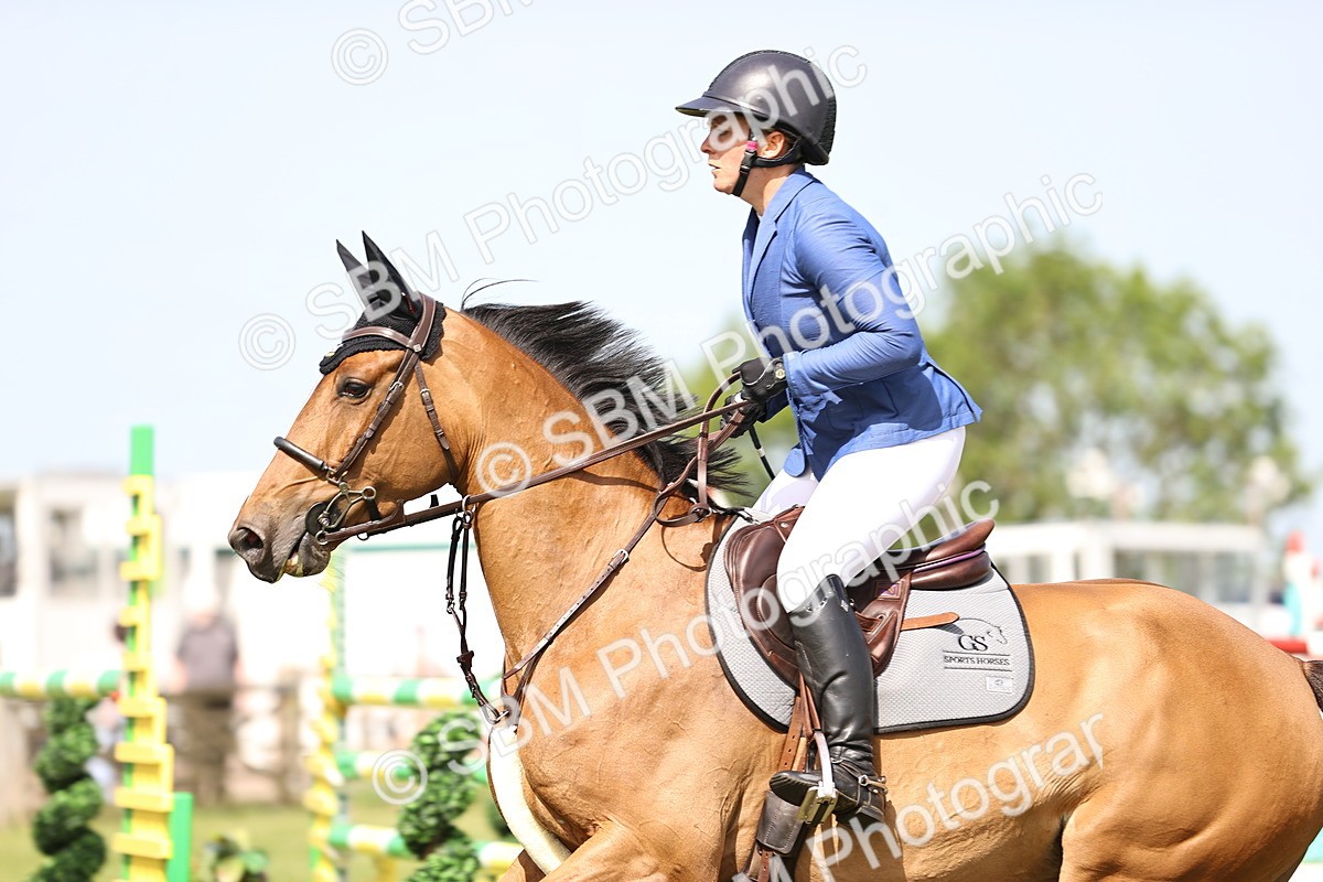 SBM_03045 - Class 201 - British Horse Feedds Speedi Beet HOYS Grade C