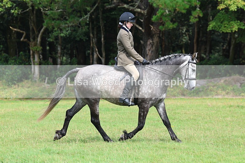 3E7A5984 - Class 28: 75cm Working Hunter