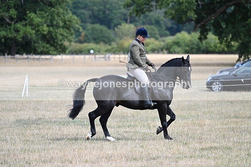 WJ7_6127 - Class 13 Ridden Veterans