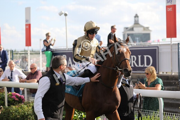 yr20082022r7-12 - Race 7 5.20pm Sky Bet Finale Stakes