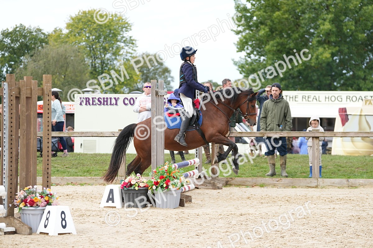 SBM_40066 - J6 - Junior Pony 55cm Championship