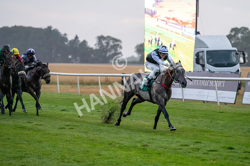 150725-Race 8-Good Karma-7668 - Race 8