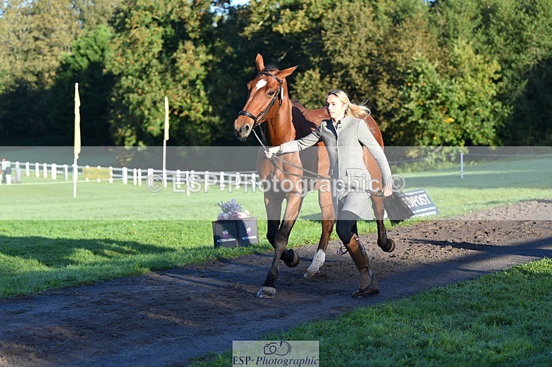 231022-090706-21571 - 641-SILVER.ROCK-Lucy.Boultbee-brooks-TrotUp+SJ