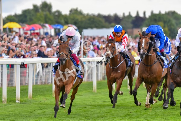 260823-Race 4-Absurde-0920 - Race 4 Sky Bet Ebor Handicap