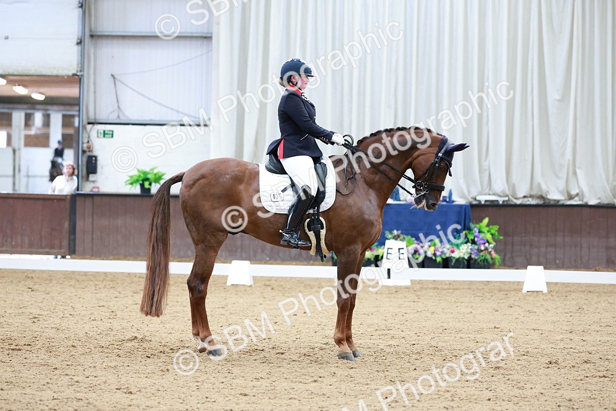 SBM_017946 - Class 15 - FEI Junior