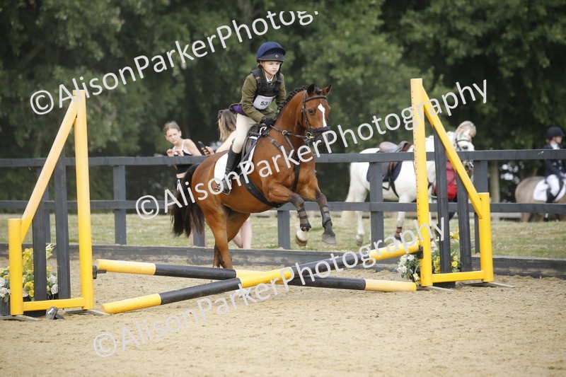 20250622-1575 - 40cm