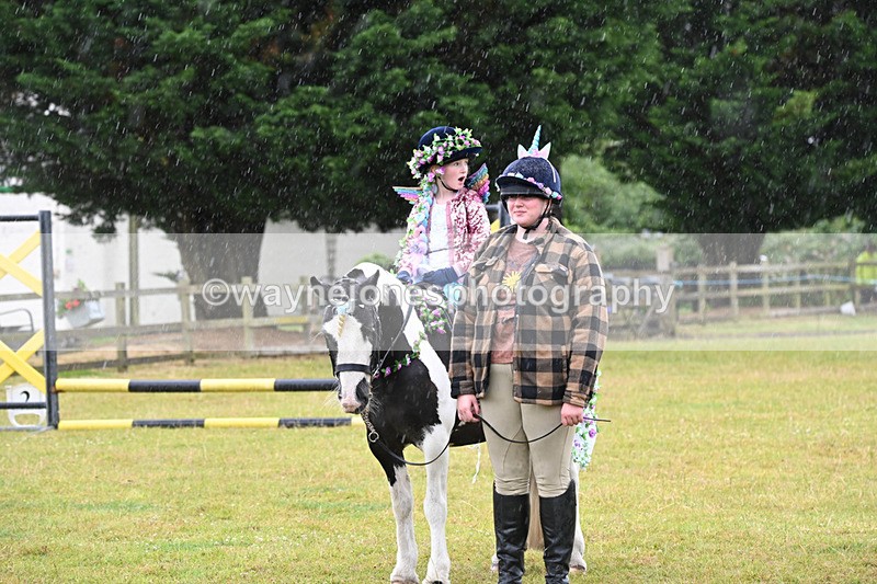 WJ6_9419 - Class 11 Fancy Dress