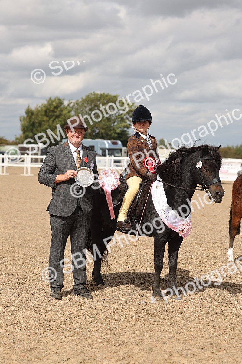 SBM_15912 - Class 310 - First Ridden Pony